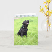 Carte LR noir (Fleur jaune)