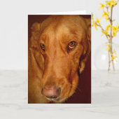 Carte Lucky (Fleur jaune)