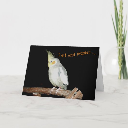 Carte Lucky (Devant)