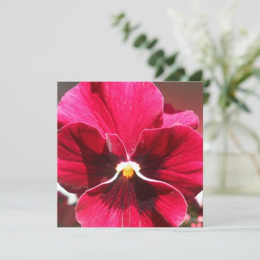 Carte Lucrezia (Debout devant)