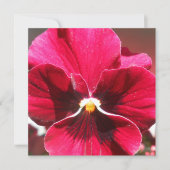 Carte Lucrezia (Devant)