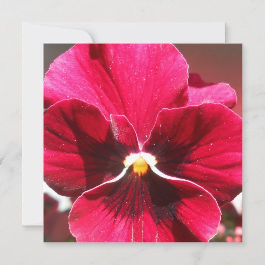 Carte Lucrezia (Devant)