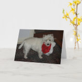 Carte lucy_hat (Fleur jaune)