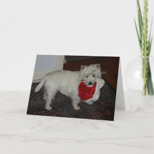 Carte lucy_hat