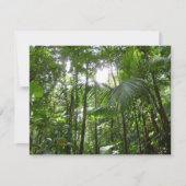 Carte Lumière du soleil à travers la canopée de la forêt (Devant)