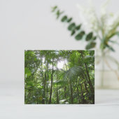 Carte Lumière du soleil à travers la canopée de la forêt (Debout devant)