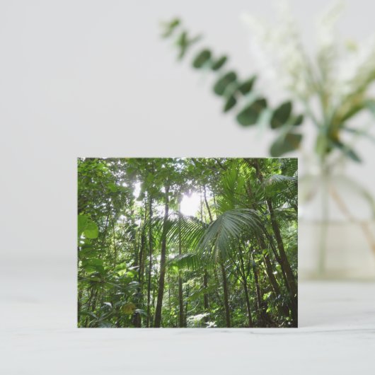 Carte Lumière du soleil à travers la canopée de la forêt (Debout devant)