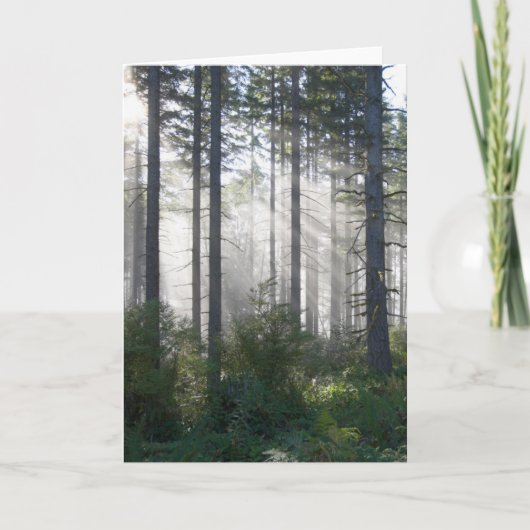 Carte Lumière du soleil traversant une forêt brumeuse (Devant)