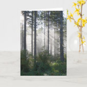 Carte Lumière du soleil traversant une forêt brumeuse (Fleur jaune)