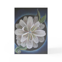 Lumière en expansion 5