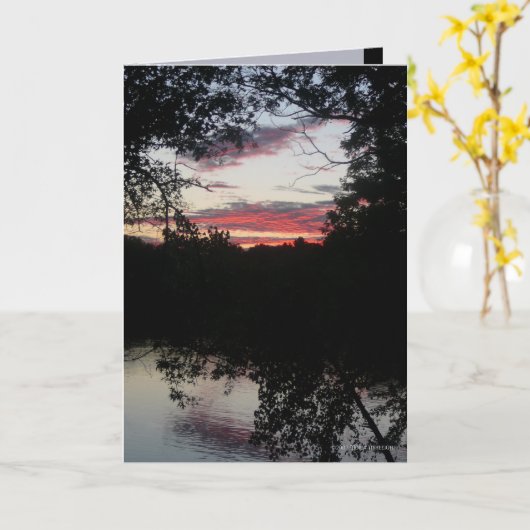 Carte Lumière nocturne (Fleur jaune)