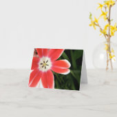 Carte lumière rose de tulipe (Fleur jaune)