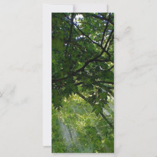 Carte Lumière Solaire À Travers Les Arbres