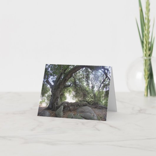 Carte Lumières d'ange (Devant)