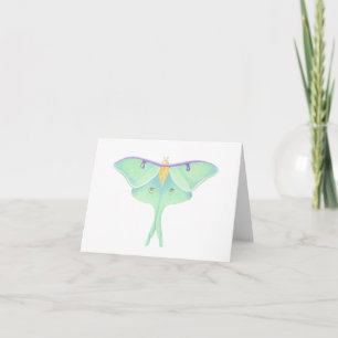 Carte Luna Moth