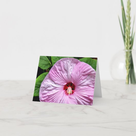 Carte Luna rougissent (Devant)