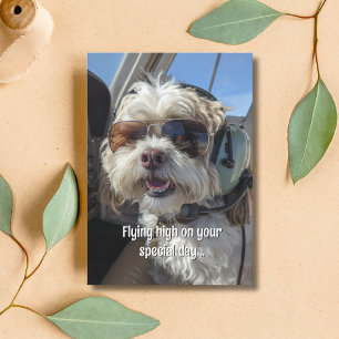 Carte Lunettes de soleil Aviateur Chien Pilote Anniversa