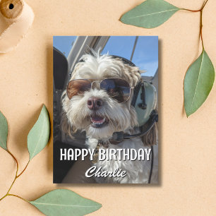 Carte Lunettes de soleil de pilote de chien Aviator Anni