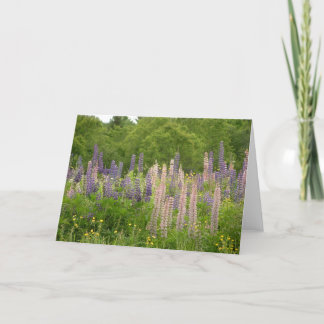 Carte Lupine