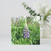 Carte Lupine Jardin Français (Debout devant)