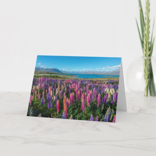 Carte Lupines de Russle au lac Tekapo | Nouvelle Zélande (Devant)
