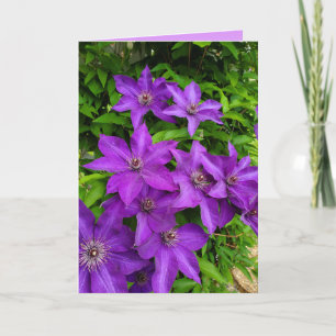 Carte Lupines pourpres La floraison de vous