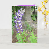 Carte Lupines violettes blanches (Fleur jaune)