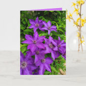 Carte Lupines violettes Flore Garder le contact vide (Fleur jaune)