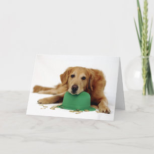 Carte Lutin de golden retriever