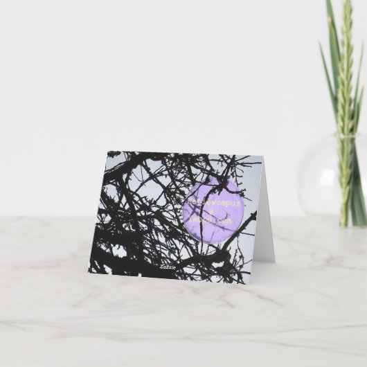 Carte Lutin de rue (Dos)