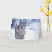 Carte lynx, Lynx lynx, dans la neige, dans les contrefor (Fleur jaune)