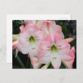 Carte Lys (Devant / Derrière)