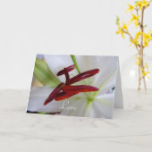 Carte Lys blanc, fleur. (Fleur jaune)