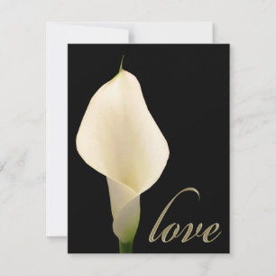 Carte Lys calla blanc simple