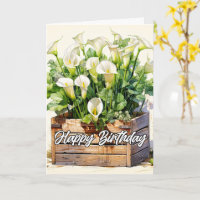 Lys Calla fraîchement cueillis