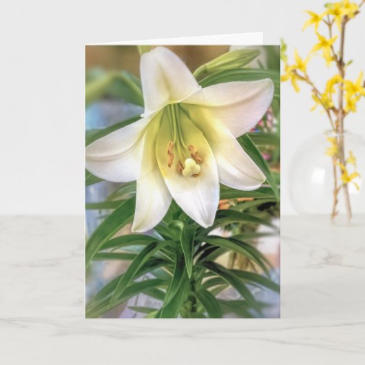 Carte Lys de Pâques (Fleur jaune)