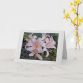 Carte Lys de résurrection (Fleur jaune)