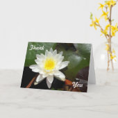 Carte Lys d'eau (Fleur jaune)