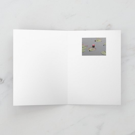 Carte Lys d'eau (Intérieur)