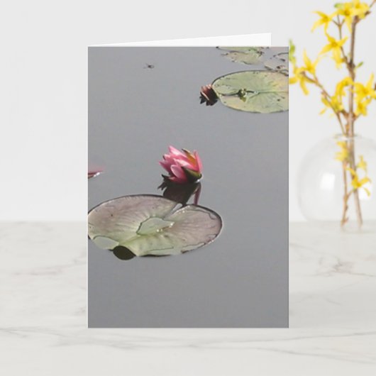 Carte Lys d'eau (Fleur jaune)