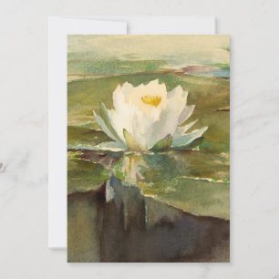 Carte Lys d'eau au soleil   John La Farge