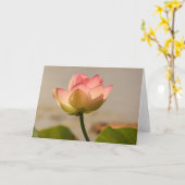 Carte Lys d'eau rose (Fleur jaune)