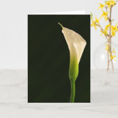 Carte lys des callas (Fleur jaune)