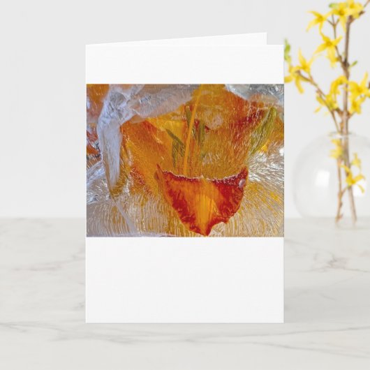 Carte Lys glacés, (Fleur jaune)