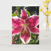 Carte Lys roses fleurs tropicales roses rose (Fleur jaune)