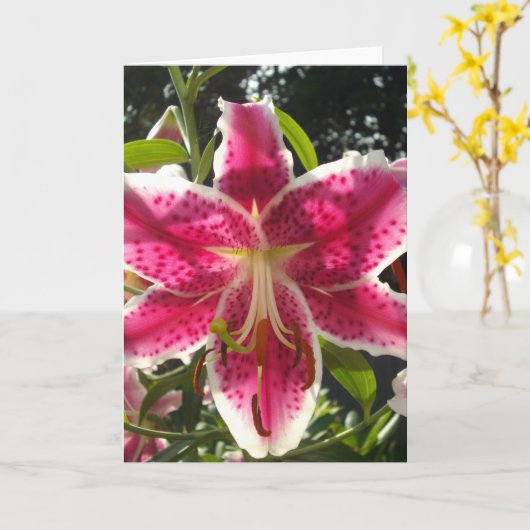 Carte Lys roses fleurs tropicales roses rose (Fleur jaune)