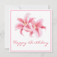 Lys Stargazer Rose