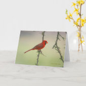 Carte M. Cardinal (Fleur jaune)