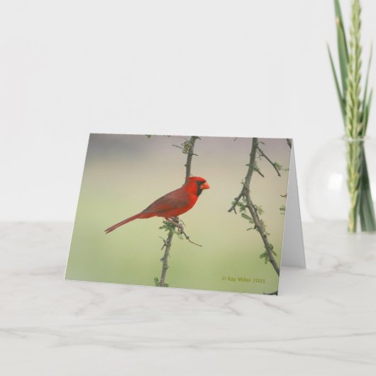 Carte M. Cardinal (Devant)