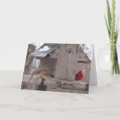 Carte M&Mme. Cardinal Dining (Dos)